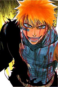 Kurosaki Ichigo