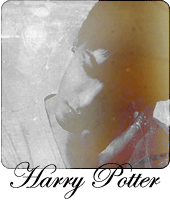 Harry J Potter