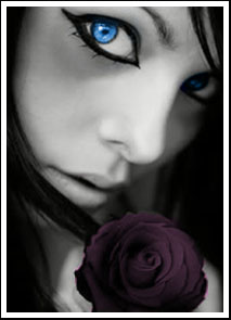 Black Rose