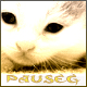 pauseg