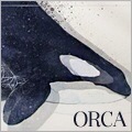 Orca`