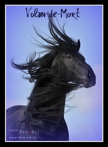 �����-��-����