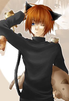 ������ ���