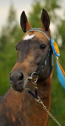 �����-����