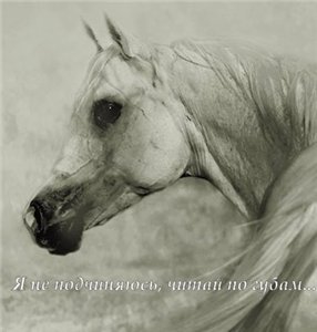 ���� � �������