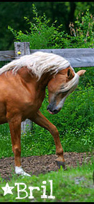 *���������