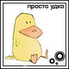 Haszak