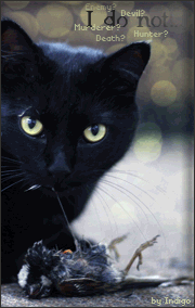 ׸���� �����