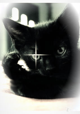 �������� ������