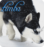 .timba