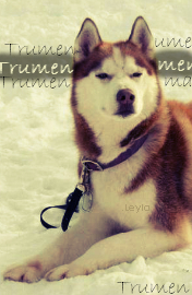 trumen