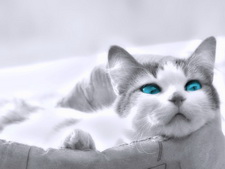 ��������� ������