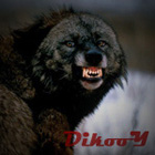 DikooY