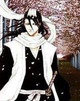 Kuchiki Byakuya