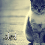 .Sled Lap