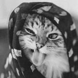 ��� �����������