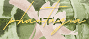 phantazia