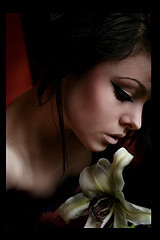 ��������� ����������