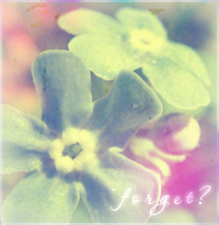 .forget-me-not