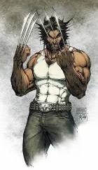 Wolverine