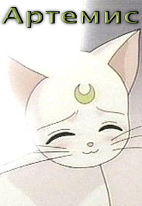 A������03