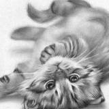 ��������