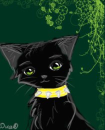 ���� ������ �������