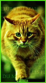 ~��������