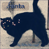 .fanta