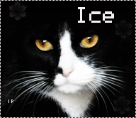 Ice