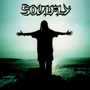 Soulfly