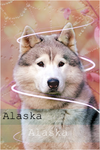 Alaska