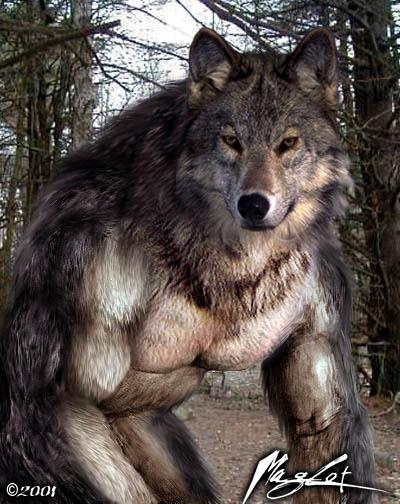 IronWolf