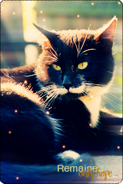 ������ �����