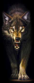 ����������@