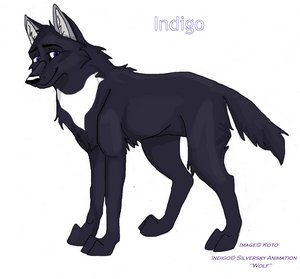 Indigo