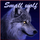 Small wolf