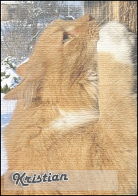 |.������|