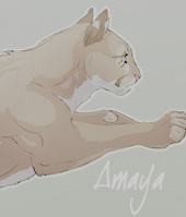 Amaya