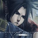 .sasu