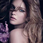 �������� ��������