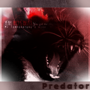 Predator