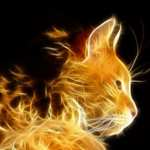 Fire_Cat