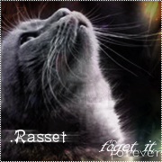 .Rasset