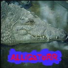 ALLiGaToRR