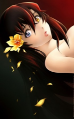 ����� ���