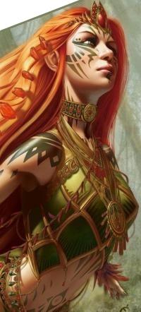 ���� �����