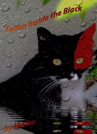 Fallen Inside the Black