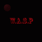 wasp82