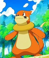 buizel